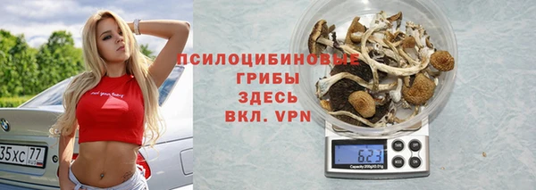 круглые Алексеевка