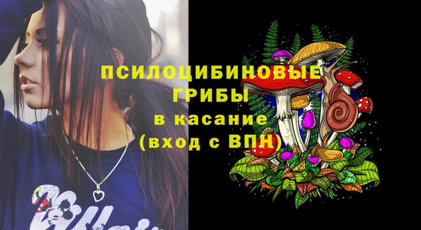 круглые Алексеевка