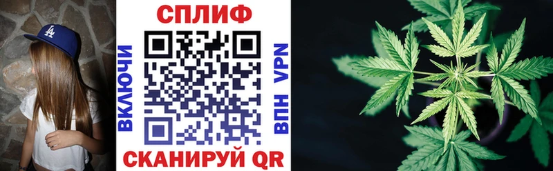 где купить наркоту  Ардатов  Канабис AK-47 